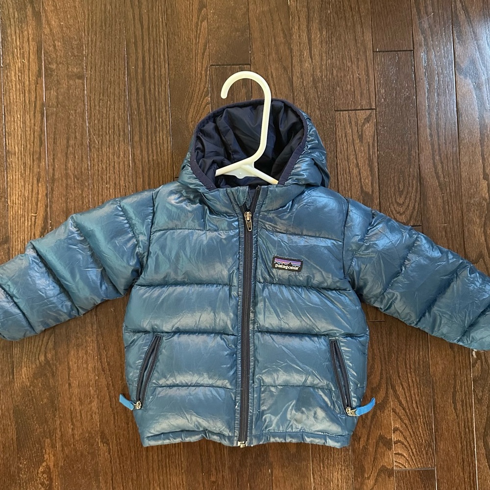 Patagonia Hi-Loft Down Sweater Hoody